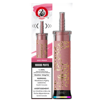 STARBUZZ E-Hose 100K - Juicy Peach